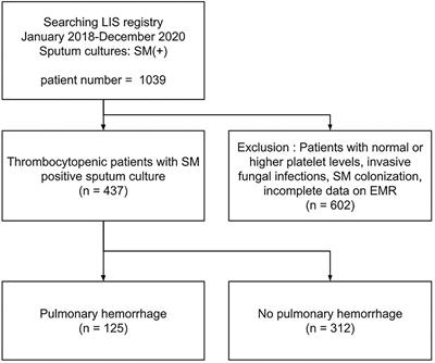 Serial platelet level index improves prediction of pulmonary hemorrhage in patients with Stenotrophomonas maltophilia respiratory infections and thrombocytopenia